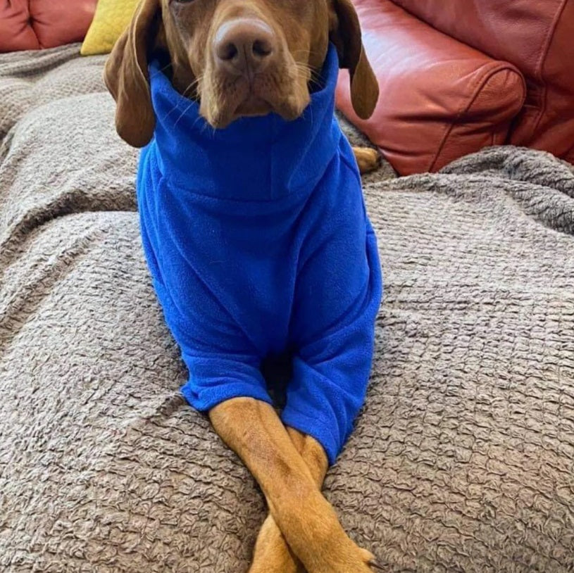 Hotterdog Dog Jumper