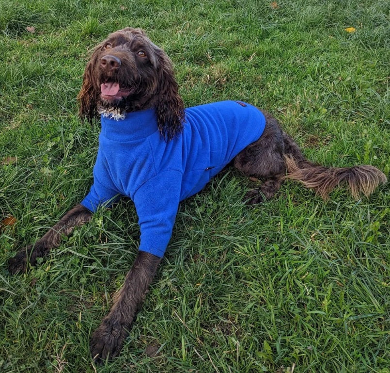 Hotterdog Dog Jumper