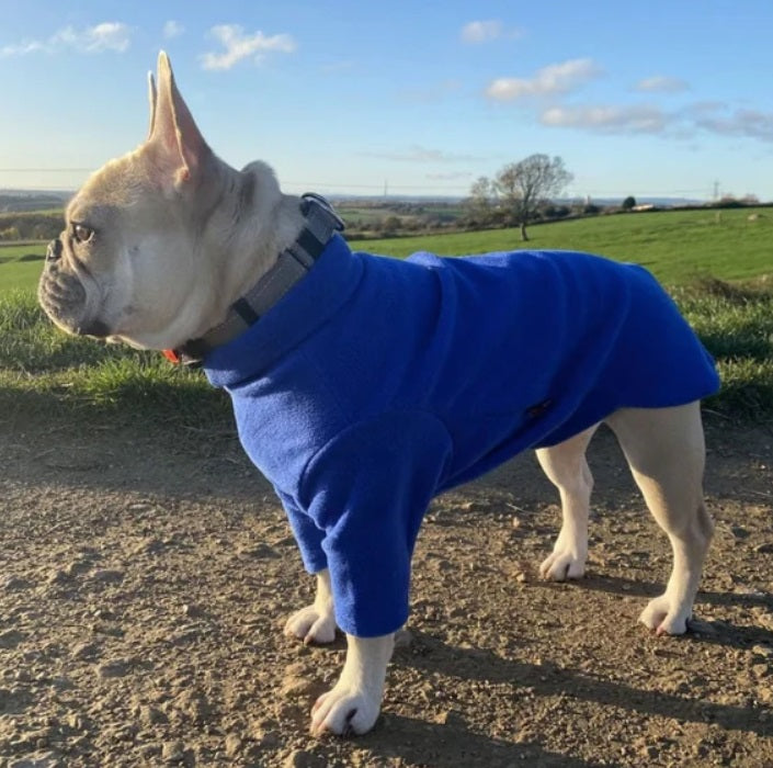 Hotterdog Dog Jumper