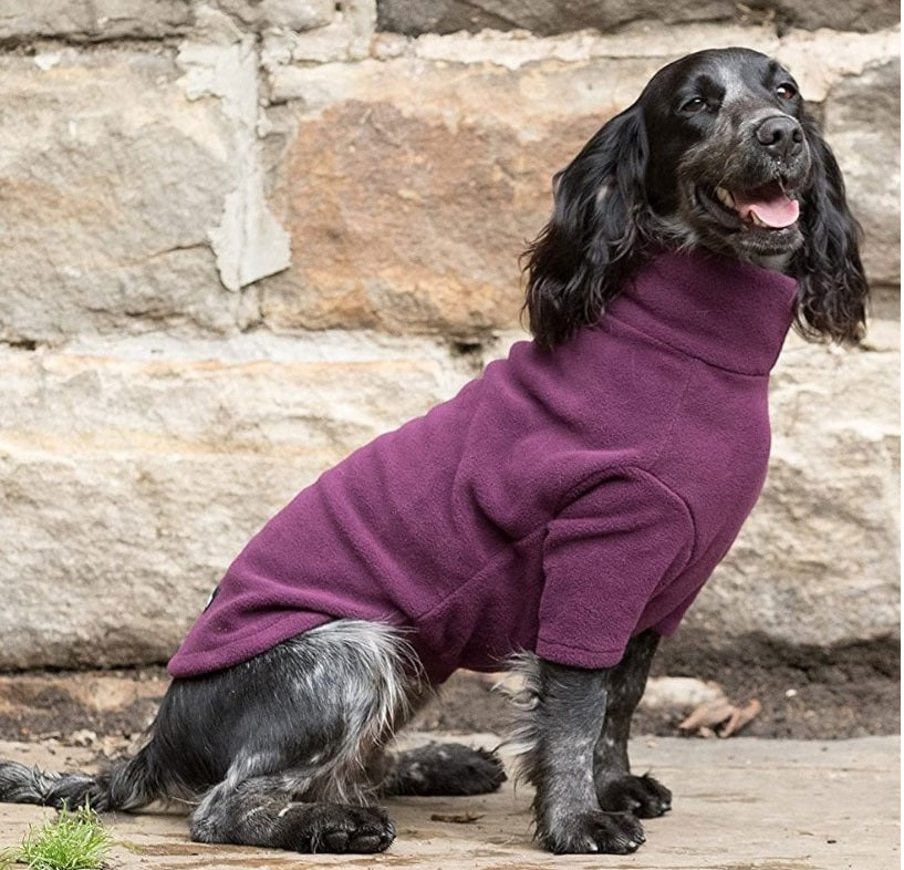 Hotterdog Dog Jumper