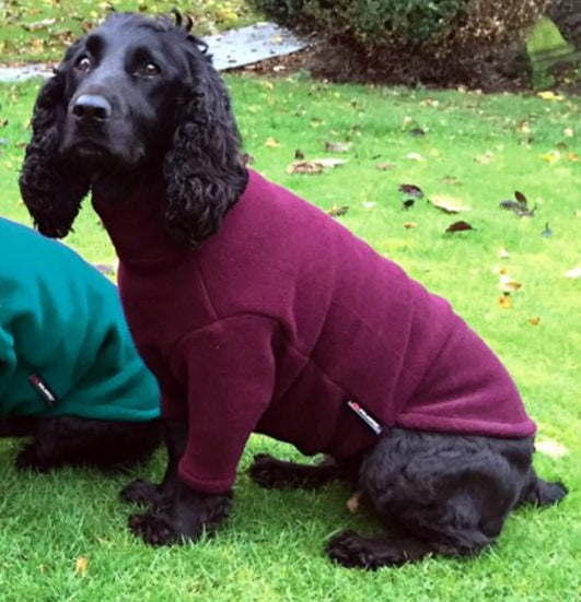 Hotterdog Dog Jumper