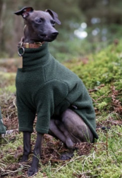 Hotterdog Dog Jumper