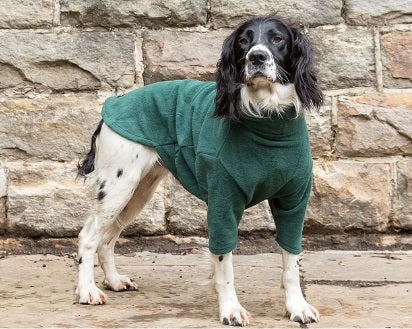 Hotterdog Dog Jumper