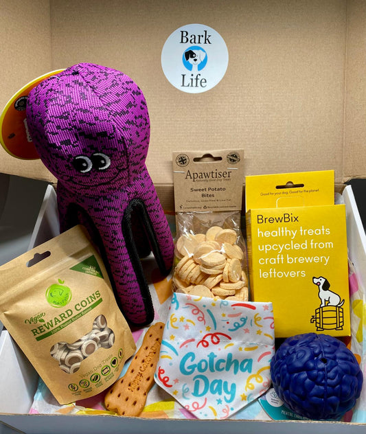 Gotcha Day Box