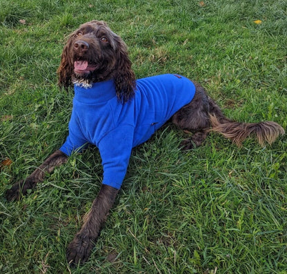 Hotterdog Dog Jumper