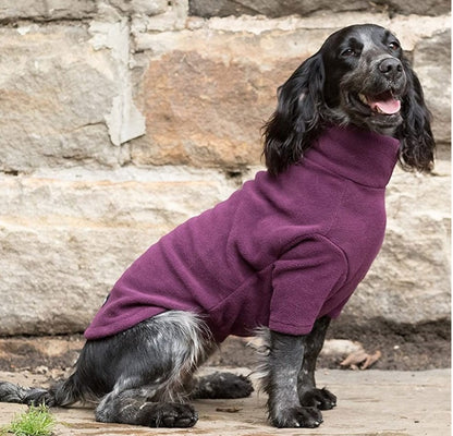 Hotterdog Dog Jumper