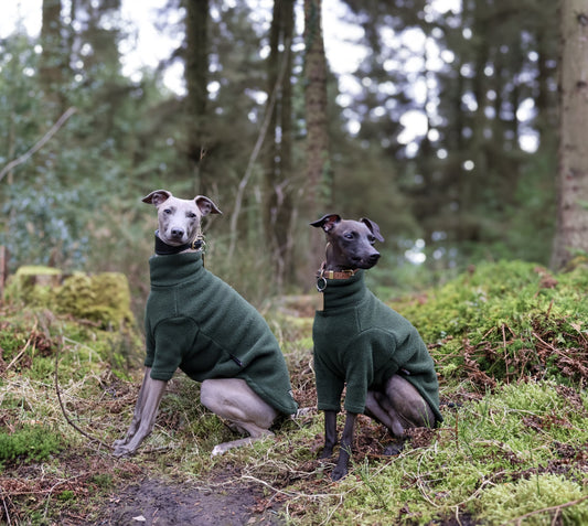 Hotterdog Dog Jumper
