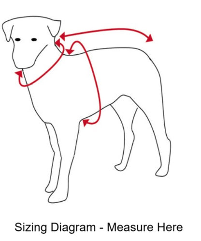 Hotterdog Dog Jumper
