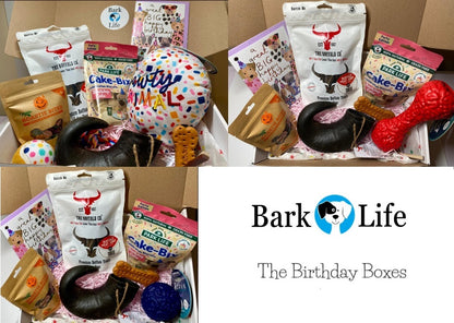Birthday Box